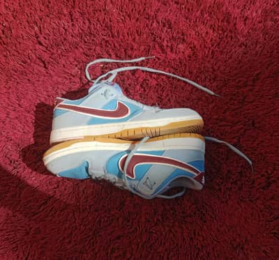 Nike Dunk Pro Philadelphia