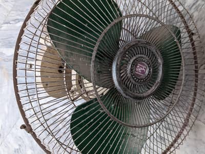 Ceiling fan