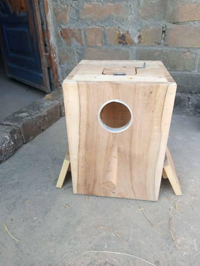 love birds breeding box