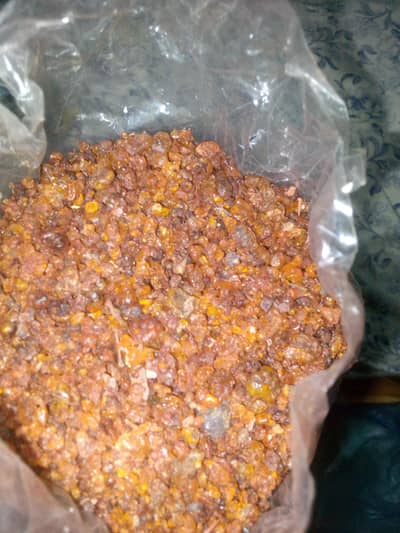 lakh Dana Indian