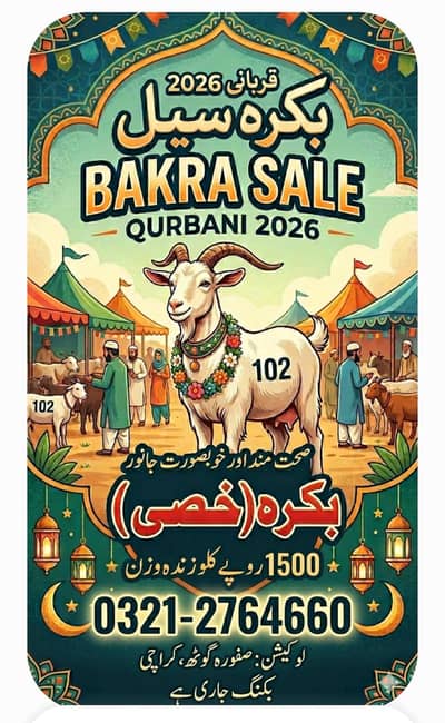 Qurbani Bakra Aalla Nasal  1500 per KG