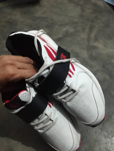 cr new shoes