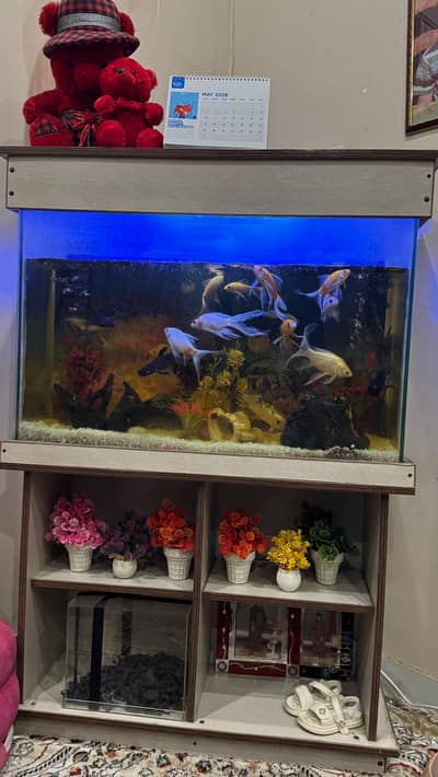 Fish aquarium for sale