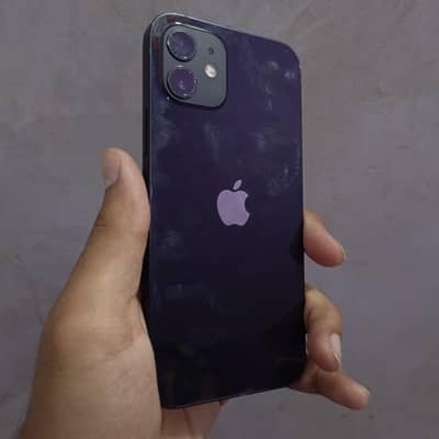 Apple iPhone 12