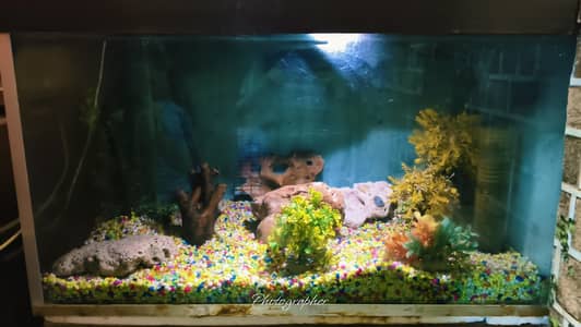 Aqaurium