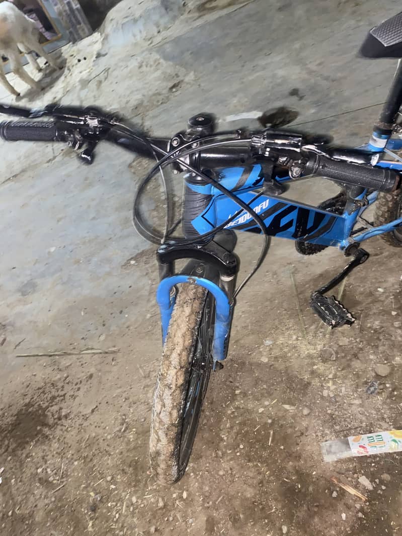 mountan cycle 1
