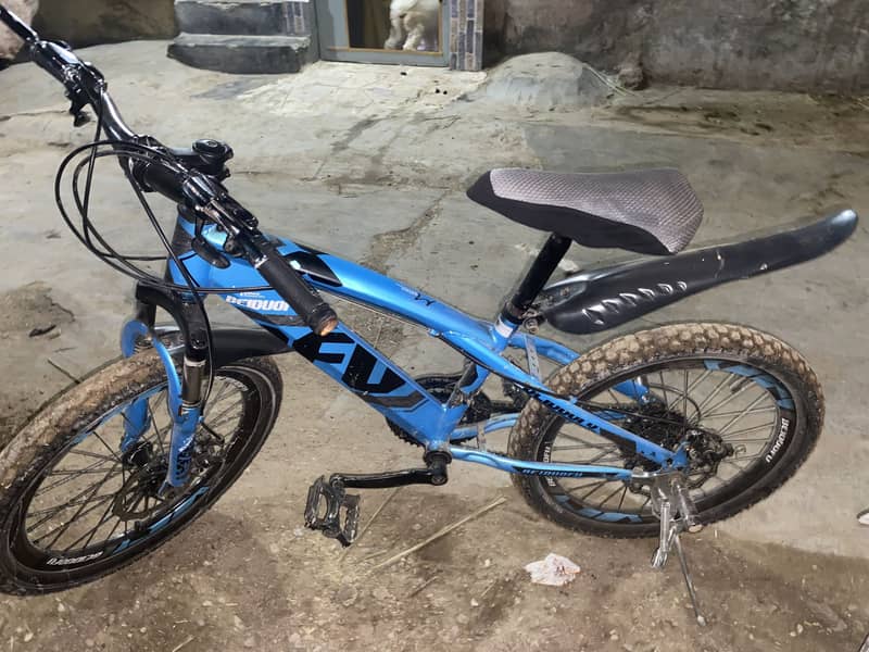 mountan cycle 3
