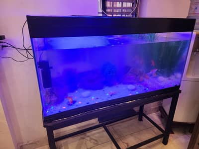 LARGE LAVISH FISH AQUARIUM FOR SALE
