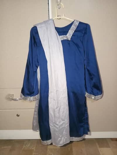Elegant Royal Blue Silk Dress 