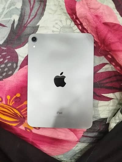 iPad mini 6