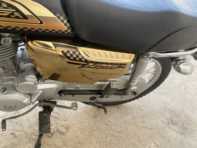 Golden edition slef 25 model