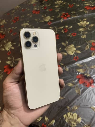Apple iPhone 12 Pro Max