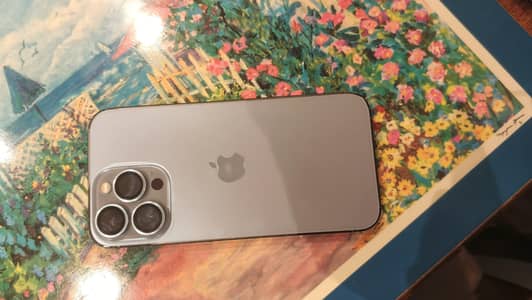Apple iPhone 13 Pro