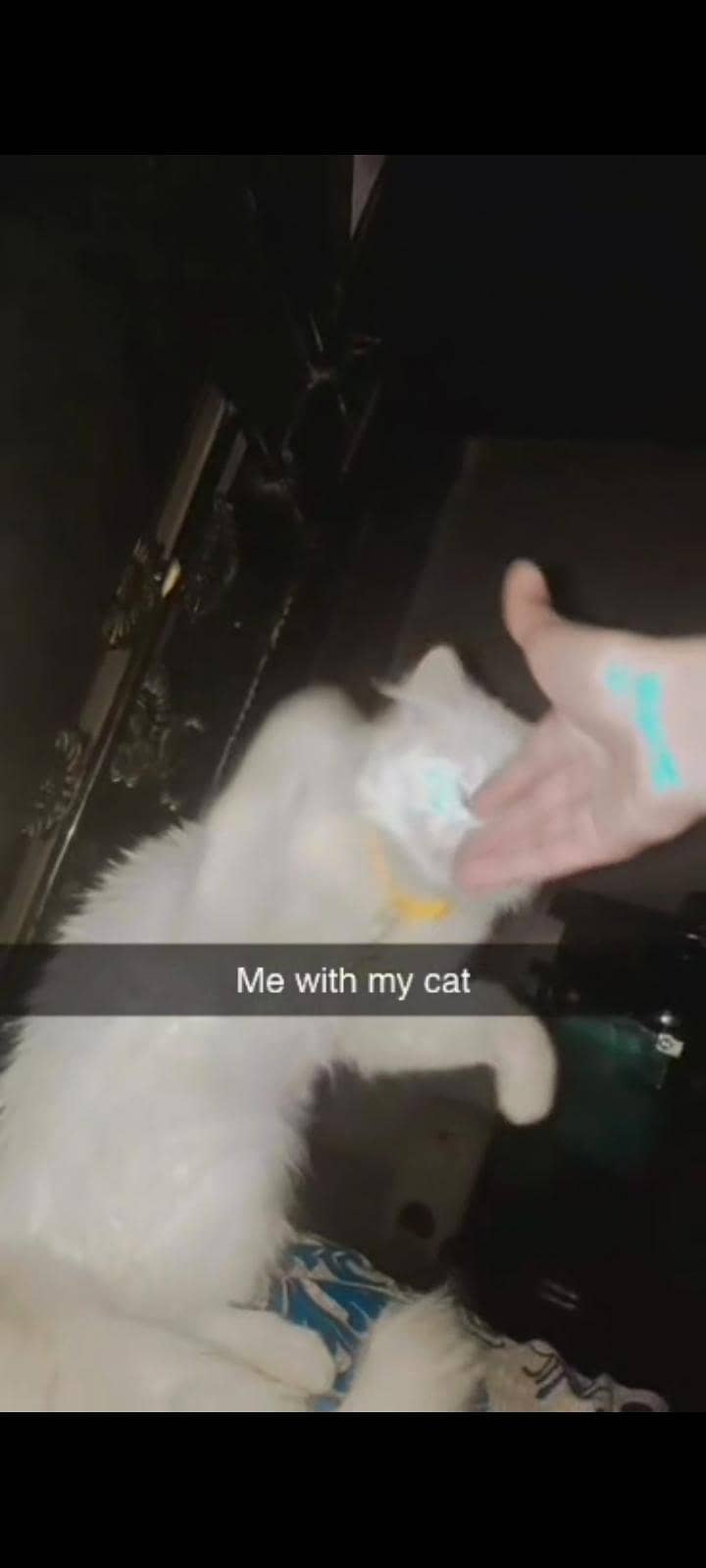  cat 0