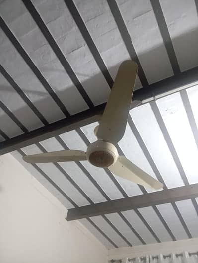 Beautiful ceiling fan