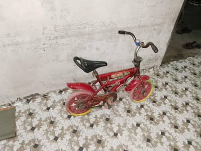 2 cycle. . and bounser total 3 itemes
