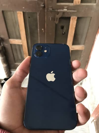 iPhone 12