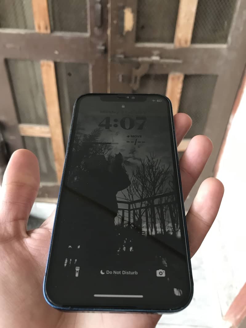 iPhone 12 2