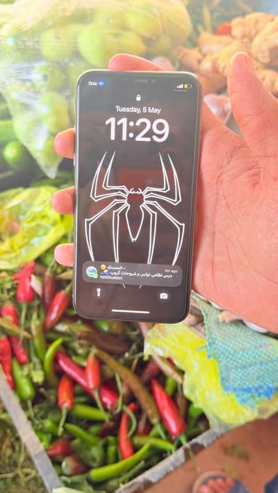 Iphone xs factory unlock esim working in phine for lifetime