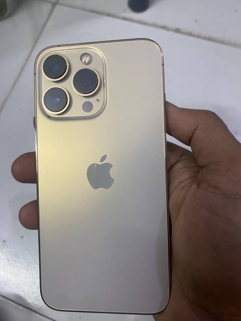 iPhone 13 Pro 0