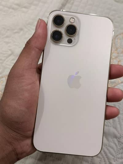 12 pro max