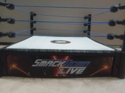 14 inch wwe ring,WWE action figure and wwe full size belt