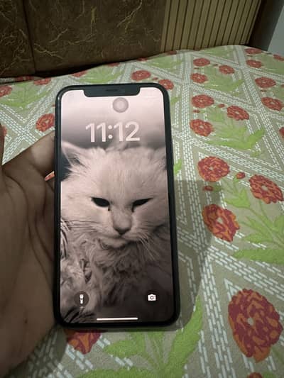 Apple iPhone 11 Pro