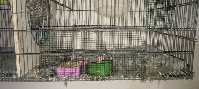 cage available for sale 17 inch height x 48 inch length