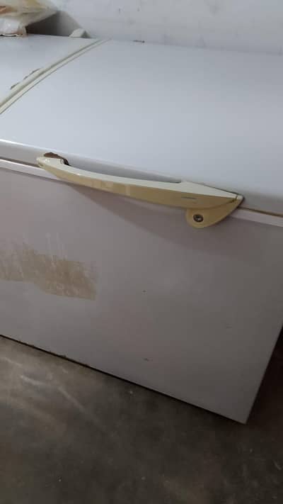 Waves Freezer