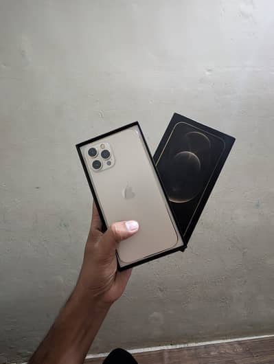 Iphone 12 pro max