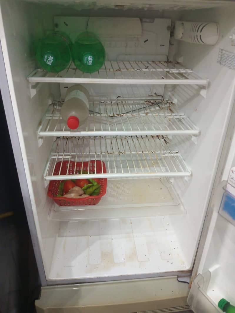 Fridge 5