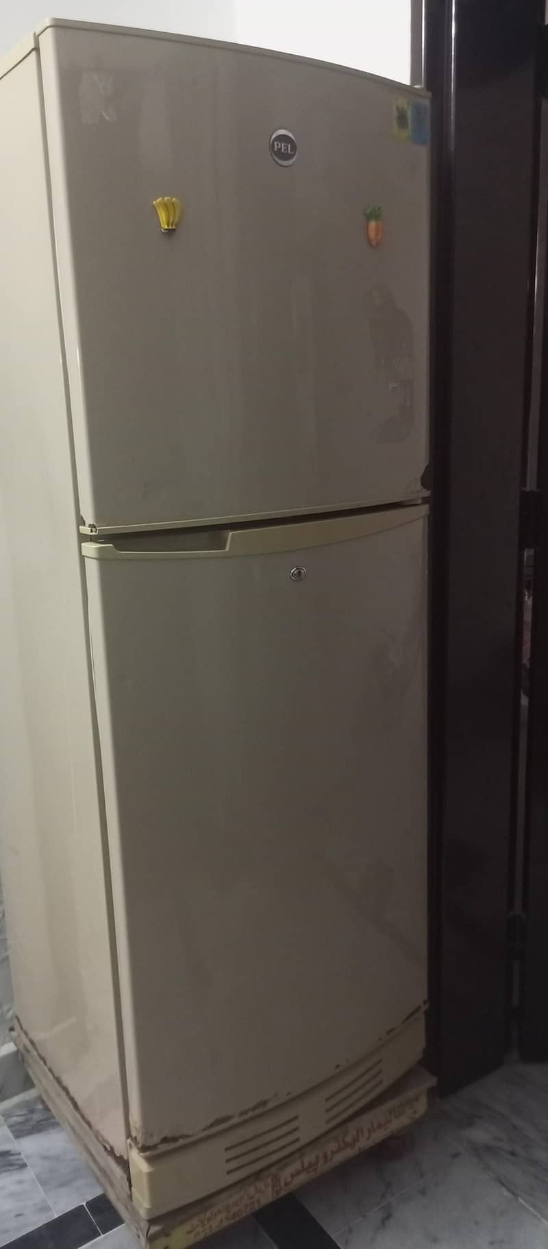 Fully Functioned Pel Refrigerator 1