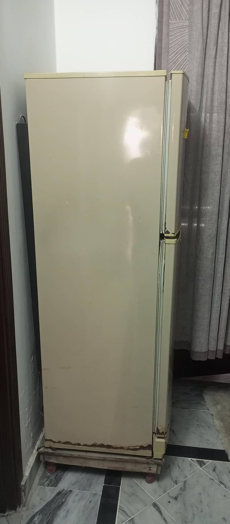 Fully Functioned Pel Refrigerator 2