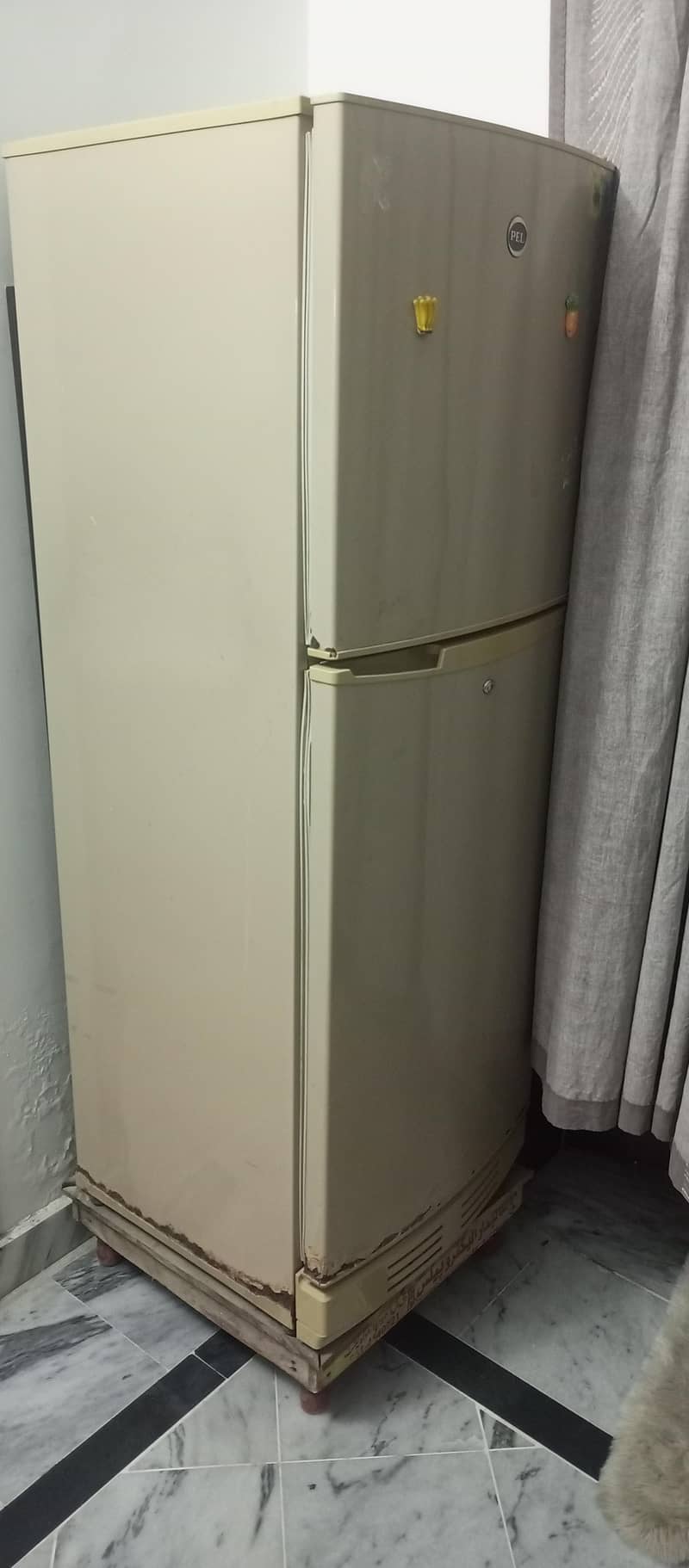 Fully Functioned Pel Refrigerator 3