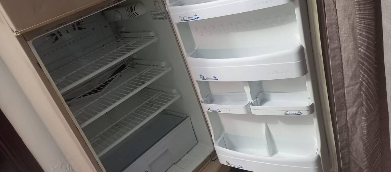 Fully Functioned Pel Refrigerator 4
