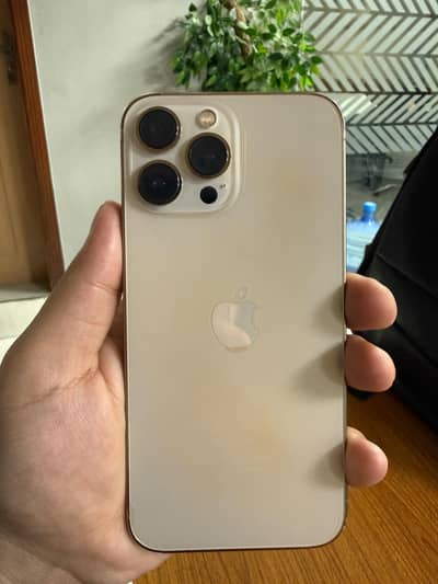 Apple iPhone 13 Pro Max