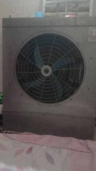 Dc Cooler 12 watt