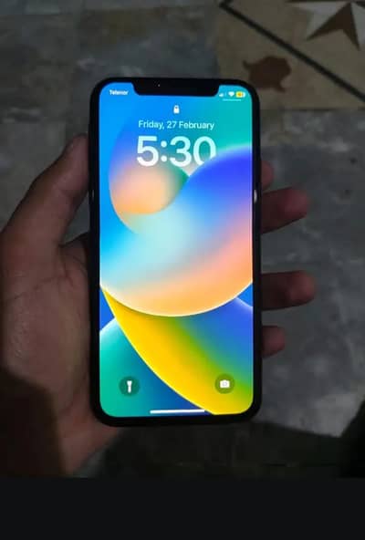 Apple iPhone X