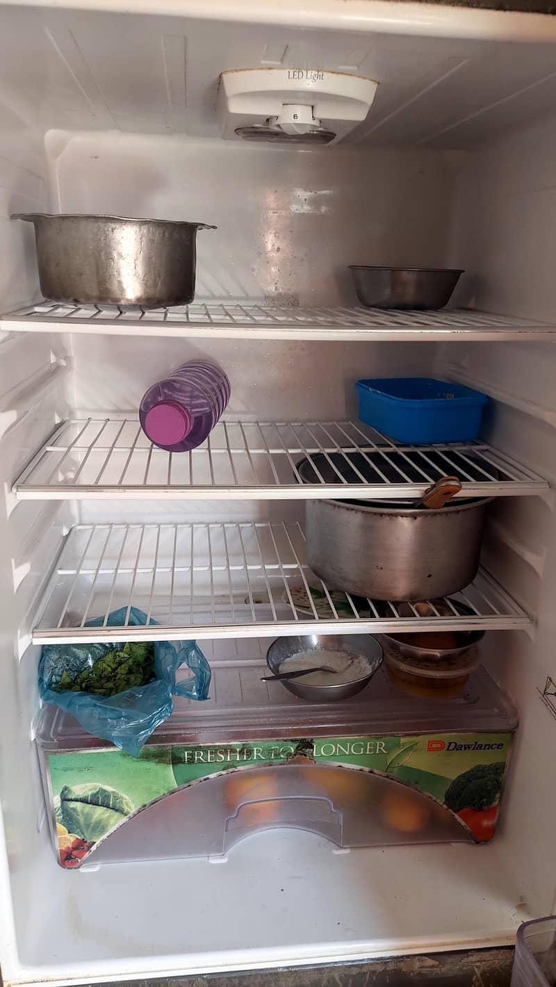 Fridge 10