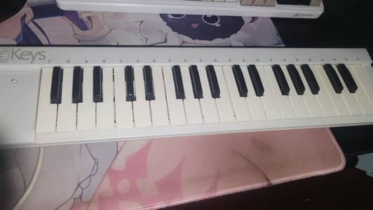 evolution Ekeys 37 piano