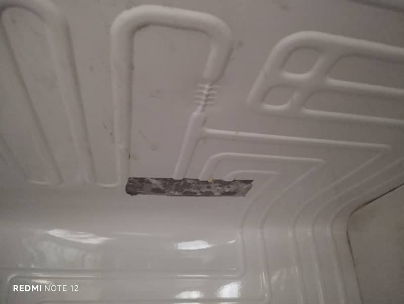Fridge 5