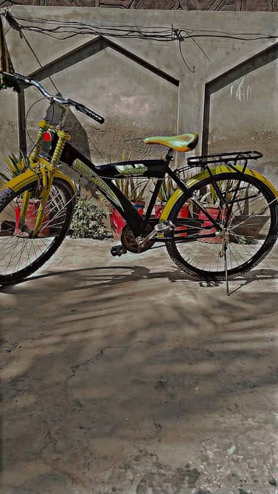Deluxe cycle