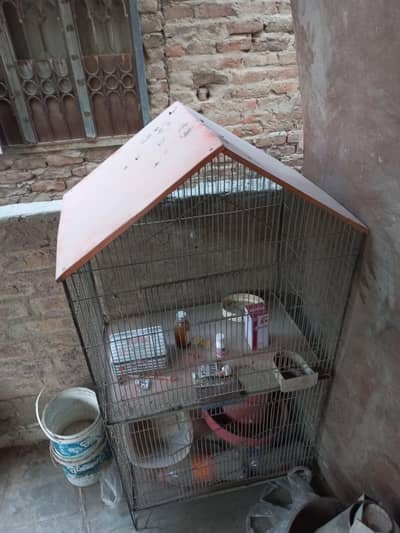 Cage for Parrot and Hen