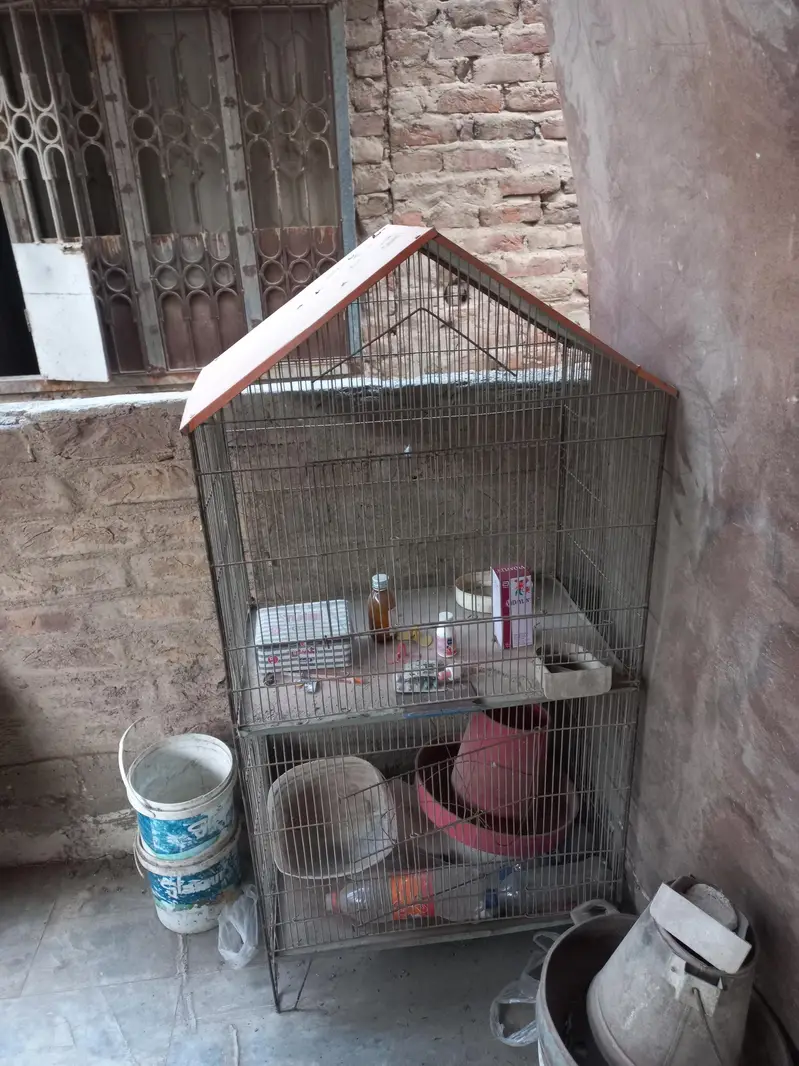 Cage for Parrot and Hen — photo 3