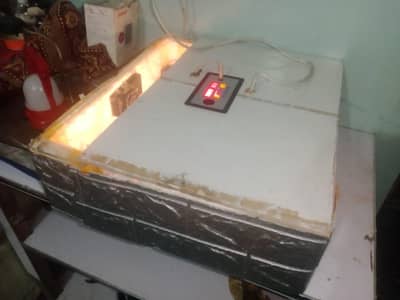 Fully automatic 55 eggs incubator 80% result .