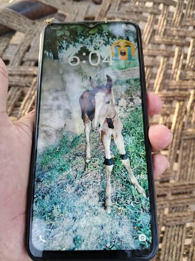 Vivo Y17s 4GB/128GB PTA Approved – Excellent Condition