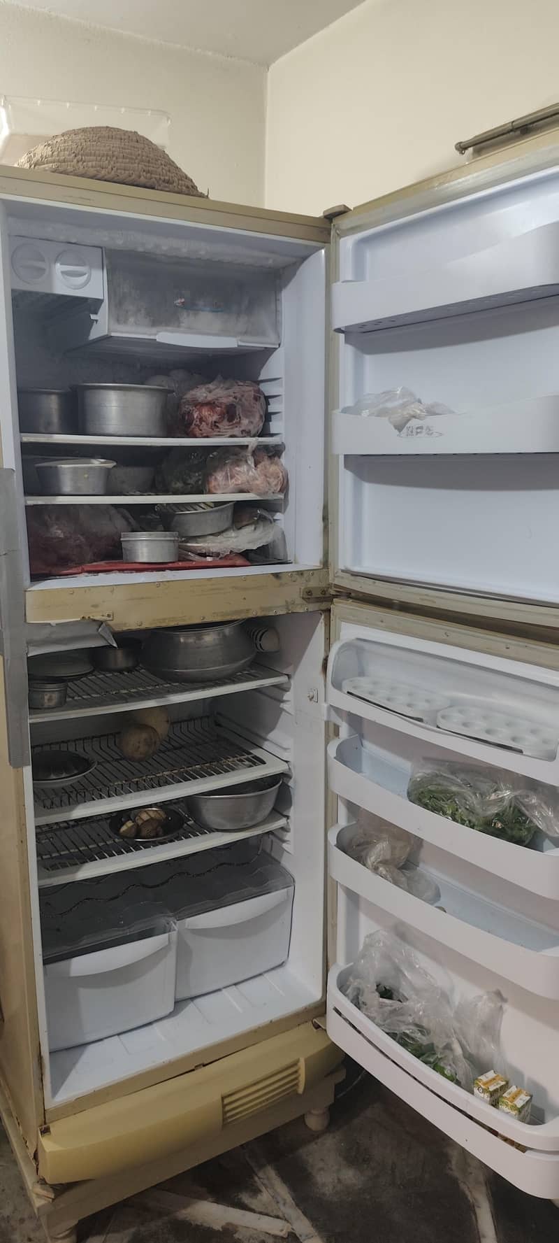 Refrigerator 1