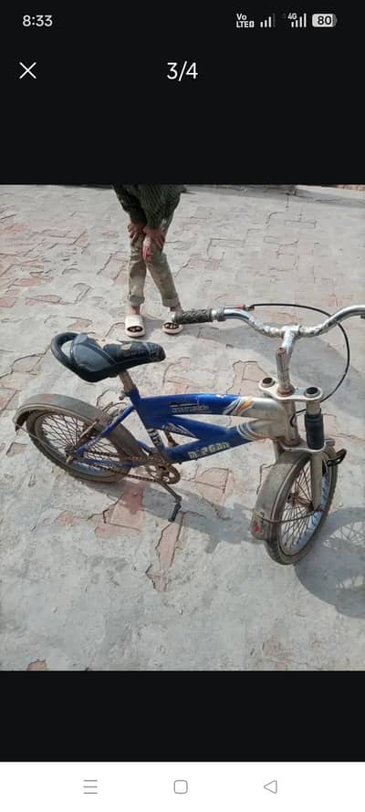 Morgan baby cycle
