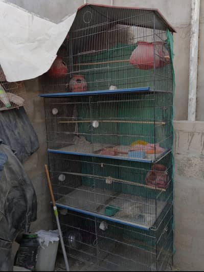 birds cage