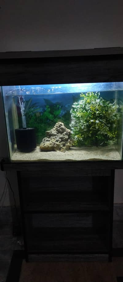 2 feet aquarium for sale